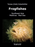 Frogfishes (Southeast Asia, Maldives, Red Sea)